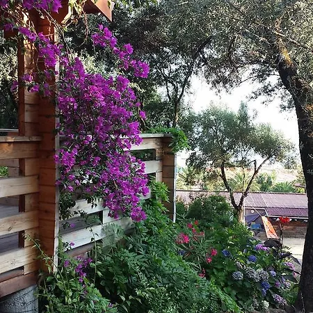 Mare E Monti Chalets Porto Pollo Room photo