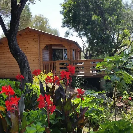 Mare E Monti Chalets Porto Pollo Room photo