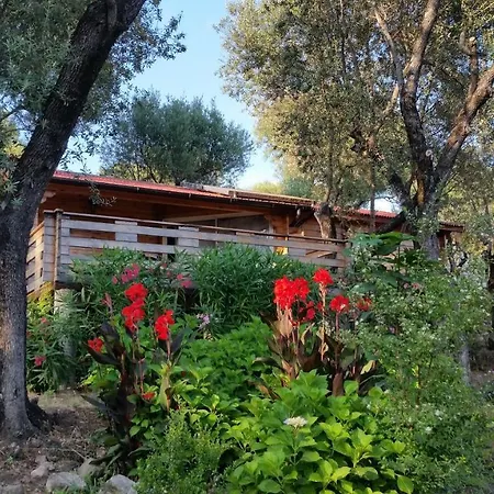 Mare E Monti Chalets Porto Pollo Room photo