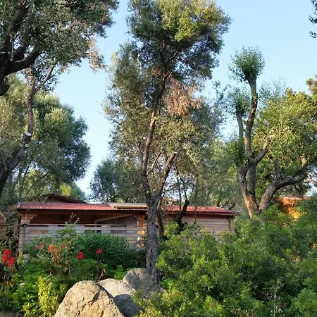 Mare E Monti Chalets Porto Pollo Room photo