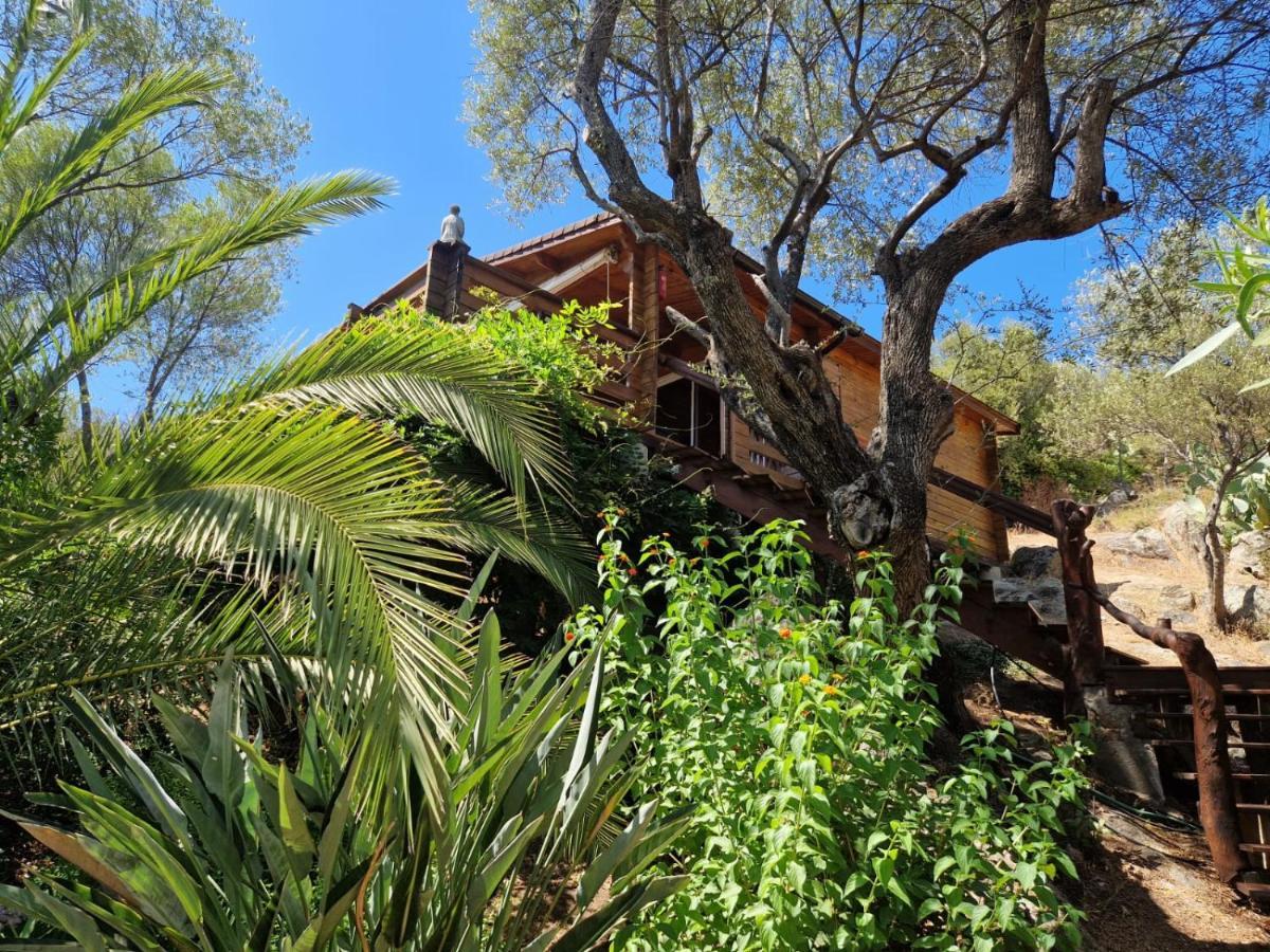 Holiday home Mare E Monti