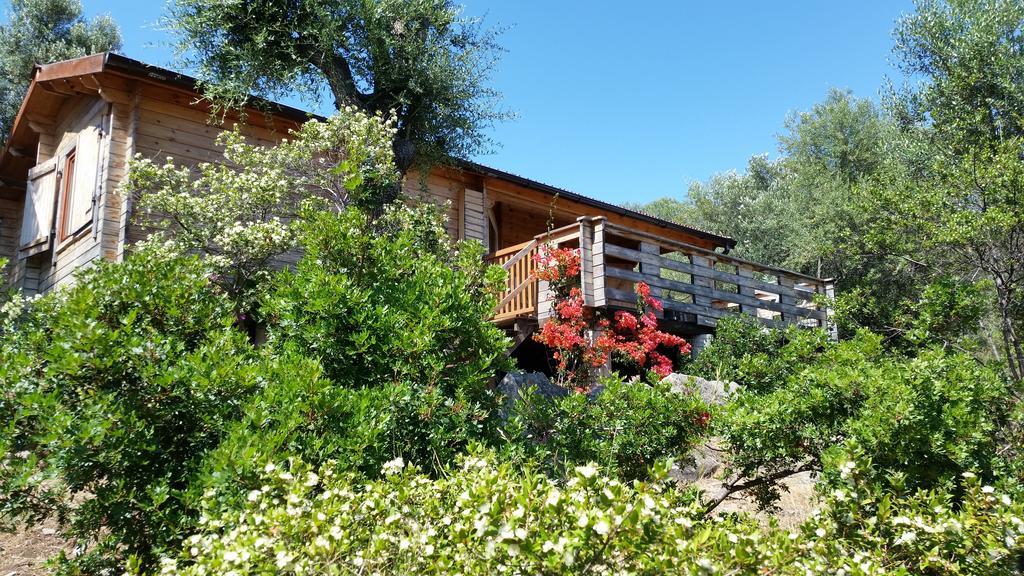 Mare E Monti Holiday home *