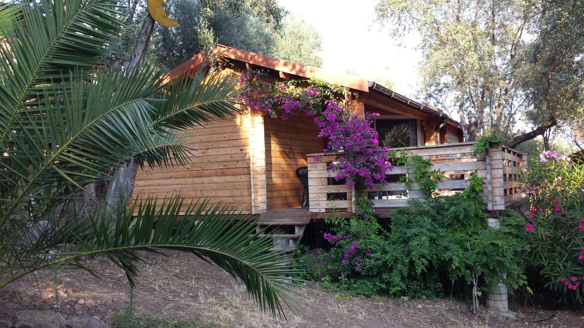 Ferienhaus Mare E Monti Porto Pollo