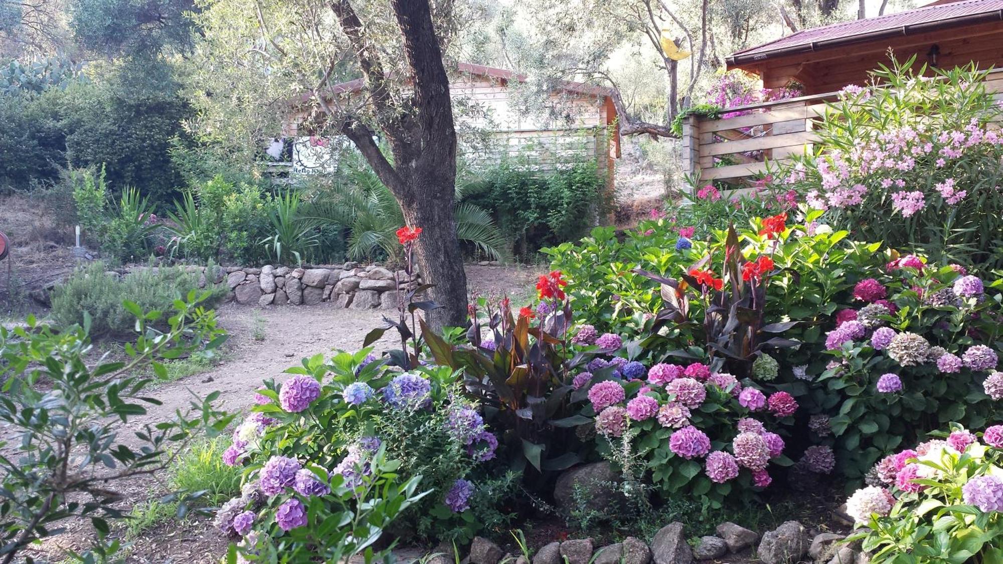 Mare E Monti Holiday home Porto Pollo