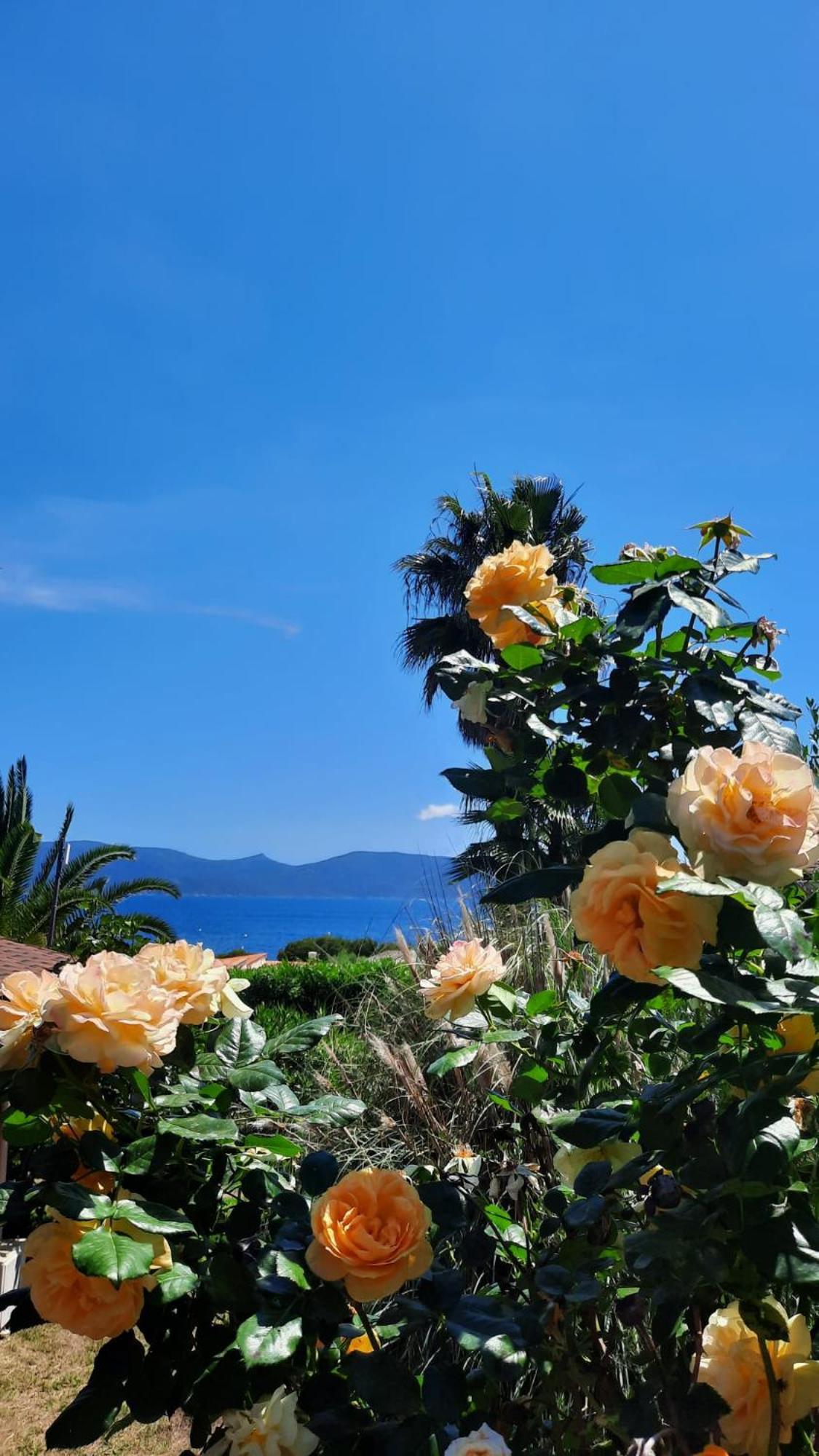 Mare E Monti Hébergement de vacances