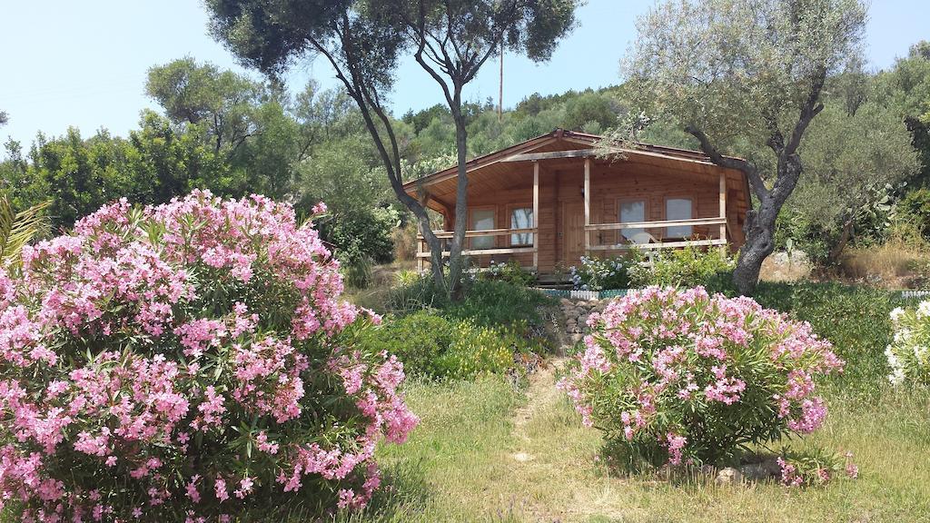 Holiday home Mare E Monti