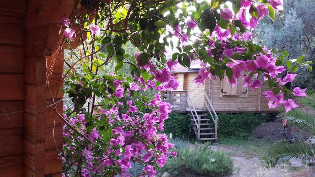 Holiday home Mare E Monti