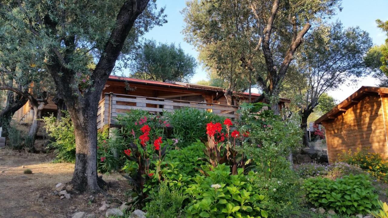 Mare E Monti Holiday home Porto Pollo